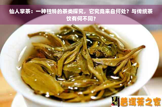 仙人掌茶：一种独特的茶类探究，它究竟来自何处？与传统茶饮有何不同？