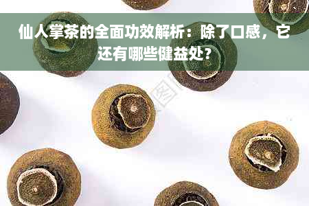 仙人掌茶的全面功效解析：除了口感，它还有哪些健益处？