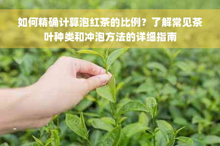 如何精确计算泡红茶的比例？了解常见茶叶种类和冲泡方法的详细指南