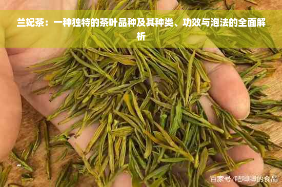 兰妃茶：一种独特的茶叶品种及其种类、功效与泡法的全面解析