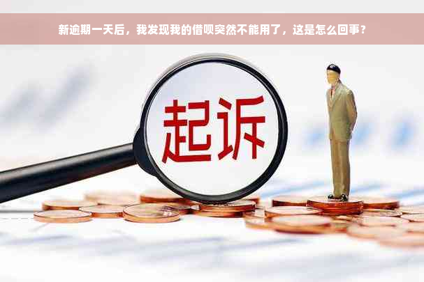 新逾期一天后，我发现我的借呗突然不能用了，这是怎么回事？