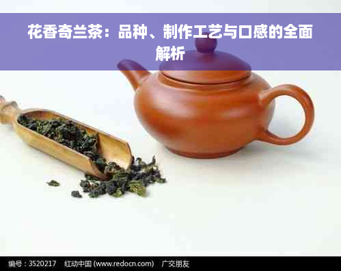 花香奇兰茶：品种、制作工艺与口感的全面解析