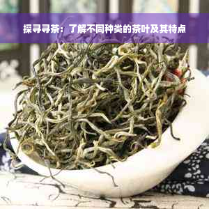 探寻寻茶：了解不同种类的茶叶及其特点