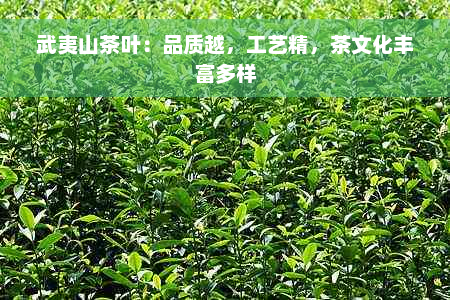 武夷山茶叶：品质越，工艺精，茶文化丰富多样