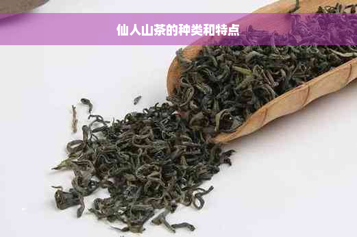 仙人山茶的种类和特点