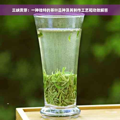 三峡贡芽：一种独特的茶叶品种及其制作工艺和功效解答