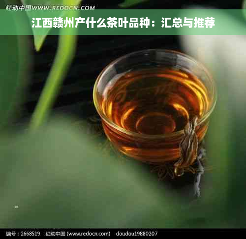 江西赣州产什么茶叶品种：汇总与推荐