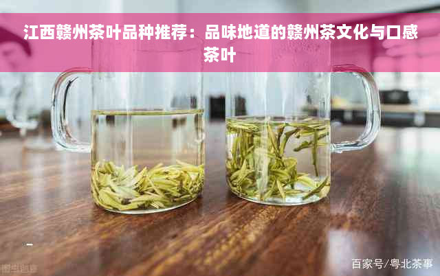 江西赣州茶叶品种推荐：品味地道的赣州茶文化与口感茶叶