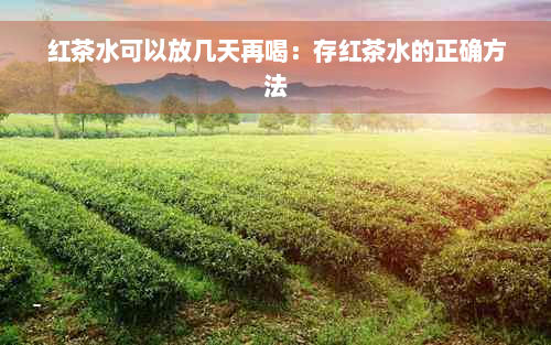 红茶水可以放几天再喝：存红茶水的正确方法