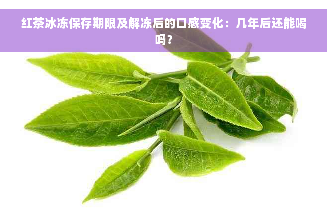 红茶冰冻保存期限及解冻后的口感变化：几年后还能喝吗？