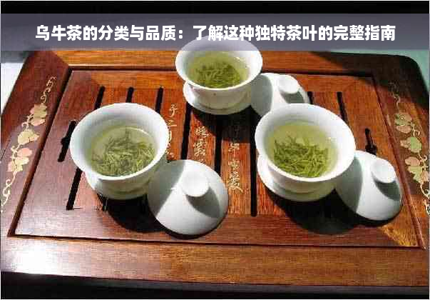 乌牛茶的分类与品质：了解这种独特茶叶的完整指南