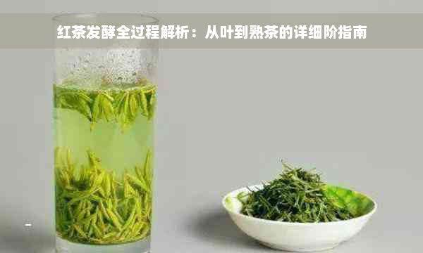 红茶发酵全过程解析：从叶到熟茶的详细阶指南