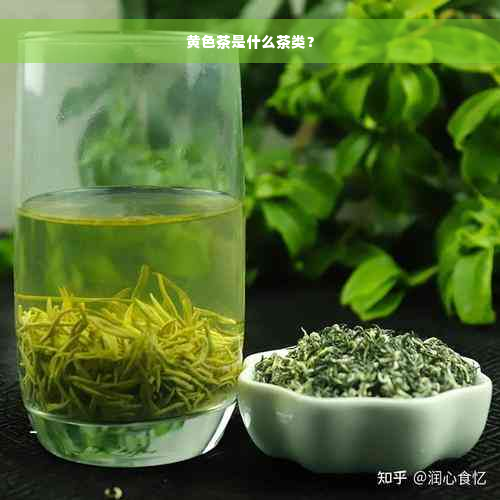 黄色茶是什么茶类？