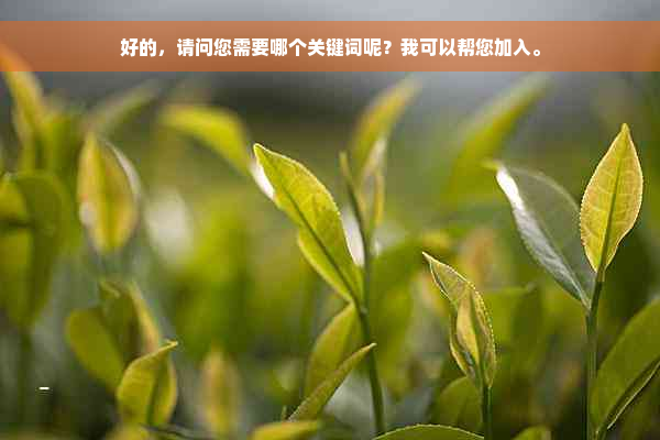 好的，请问您需要哪个关键词呢？我可以帮您加入。