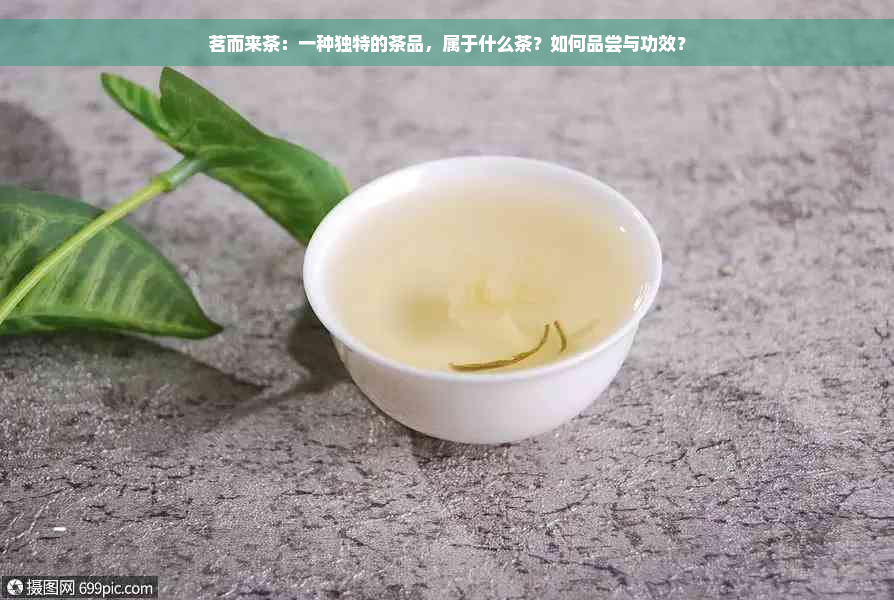 茗而来茶：一种独特的茶品，属于什么茶？如何品尝与功效？