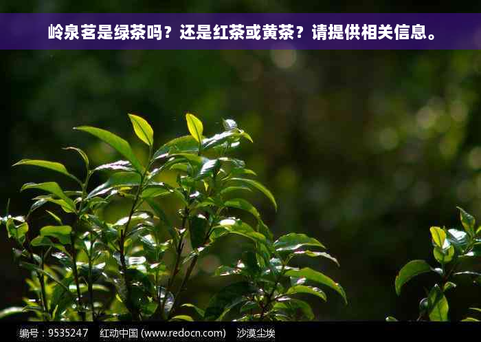 岭泉茗是绿茶吗？还是红茶或黄茶？请提供相关信息。