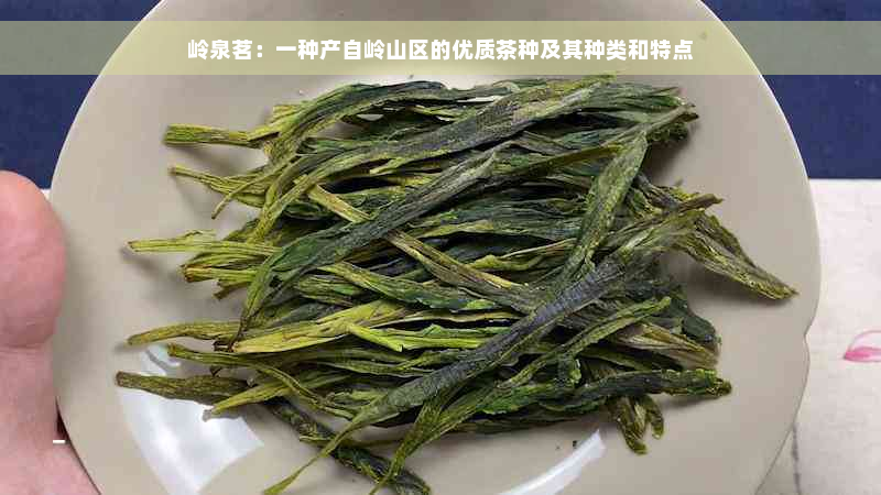 岭泉茗：一种产自岭山区的优质茶种及其种类和特点