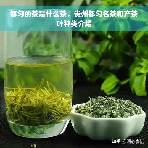 都匀的茶是什么茶，贵州都匀名茶和产茶叶种类介绍