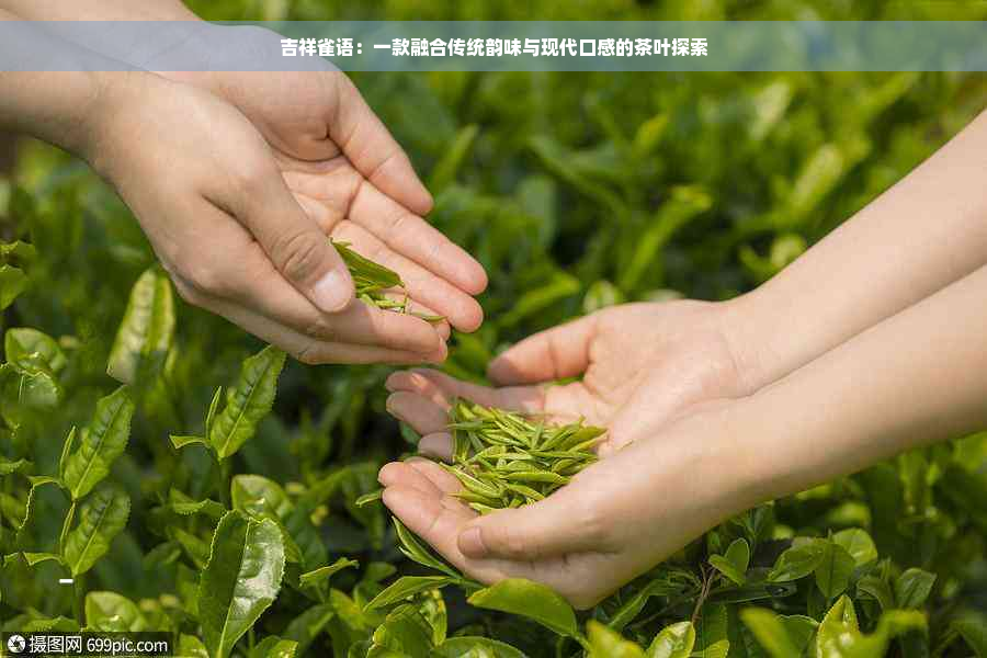 吉祥雀语：一款融合传统韵味与现代口感的茶叶探索