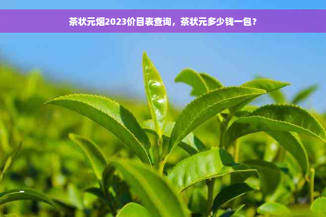 茶状元烟2023价目表查询，茶状元多少钱一包？