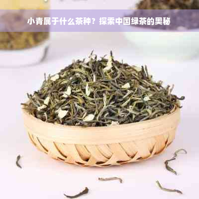 小青属于什么茶种？探索中国绿茶的奥秘