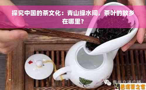 探究中国的茶文化：青山绿水间，茶叶的故乡在哪里？