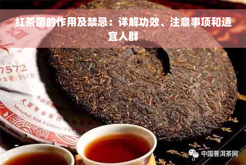 红茶菌的作用及禁忌：详解功效、注意事项和适宜人群