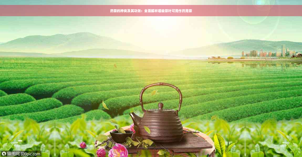 药茶的种类及其功效：全面解析哪些茶叶可用作药用茶