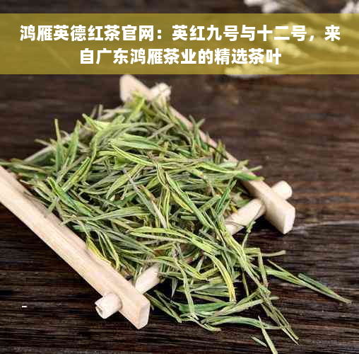 鸿雁英德红茶官网：英红九号与十二号，来自广东鸿雁茶业的精选茶叶