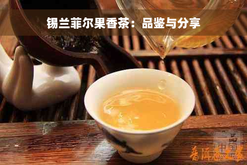 锡兰菲尔果香茶：品鉴与分享