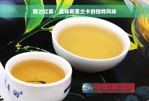 锡兰红茶：品味斯里兰卡的独特风味