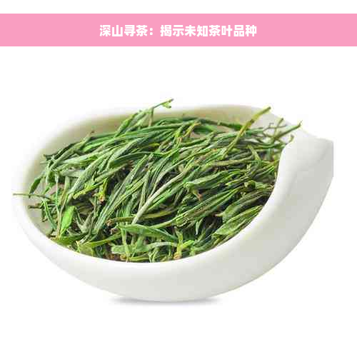 深山寻茶：揭示未知茶叶品种