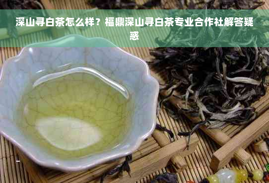 深山寻白茶怎么样？福鼎深山寻白茶专业合作社解答疑惑