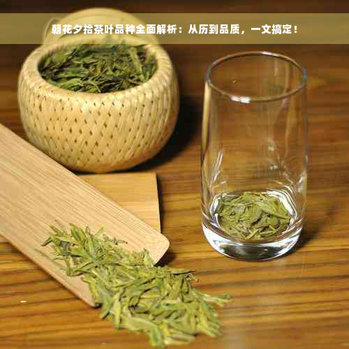 朝花夕拾茶叶品种全面解析：从历到品质，一文搞定！