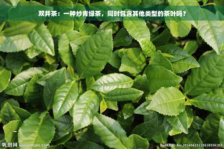 双井茶：一种炒青绿茶，同时包含其他类型的茶叶吗？