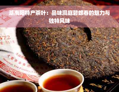 湖南阳特产茶叶：品味洞庭碧螺春的魅力与独特风味