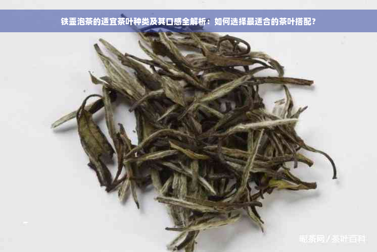 铁壶泡茶的适宜茶叶种类及其口感全解析：如何选择最适合的茶叶搭配？