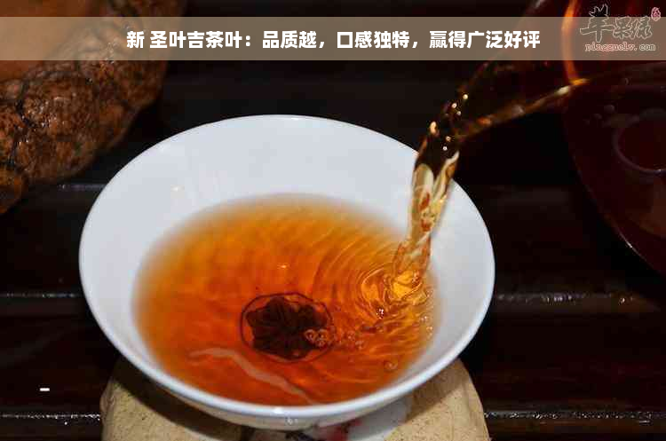 新 圣叶吉茶叶：品质越，口感独特，赢得广泛好评