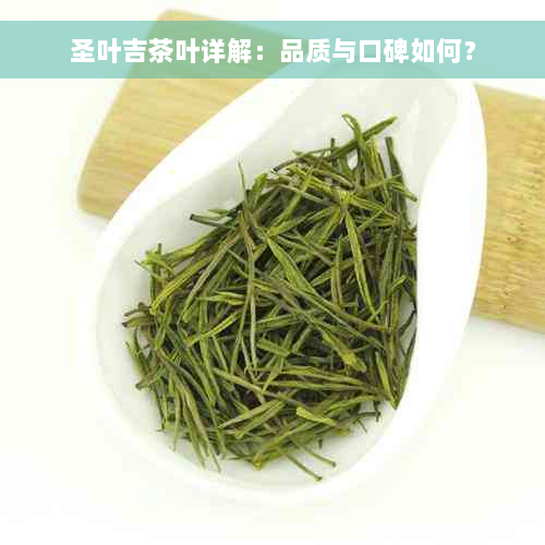 圣叶吉茶叶详解：品质与口碑如何？