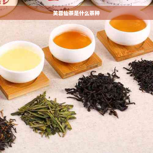 芙蓉仙茶是什么茶种