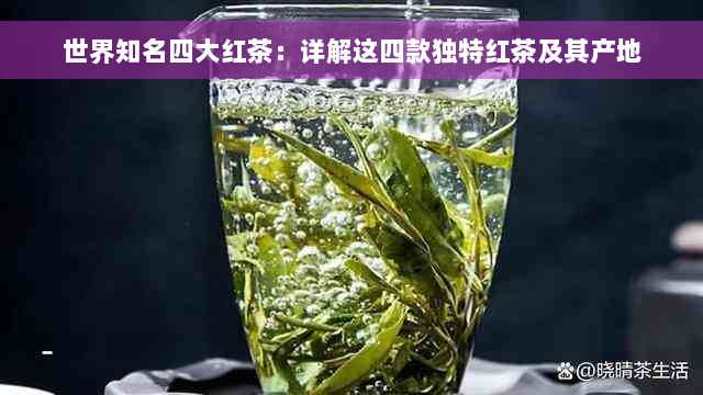 世界知名四大红茶：详解这四款独特红茶及其产地