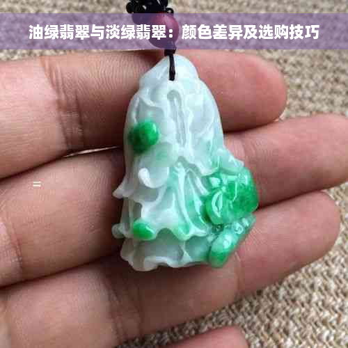 油绿翡翠与淡绿翡翠：颜色差异及选购技巧