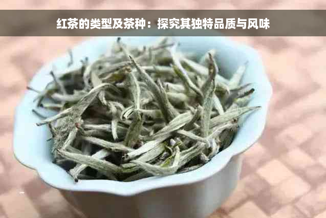 红茶的类型及茶种：探究其独特品质与风味