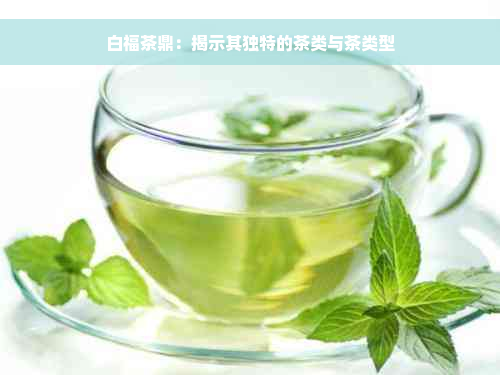 白福茶鼎：揭示其独特的茶类与茶类型