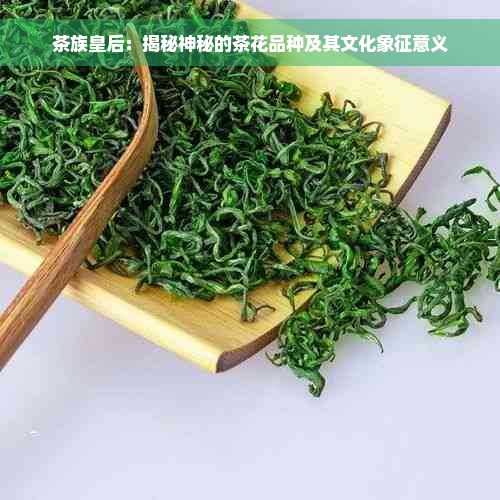 茶族皇后：揭秘神秘的茶花品种及其文化象征意义