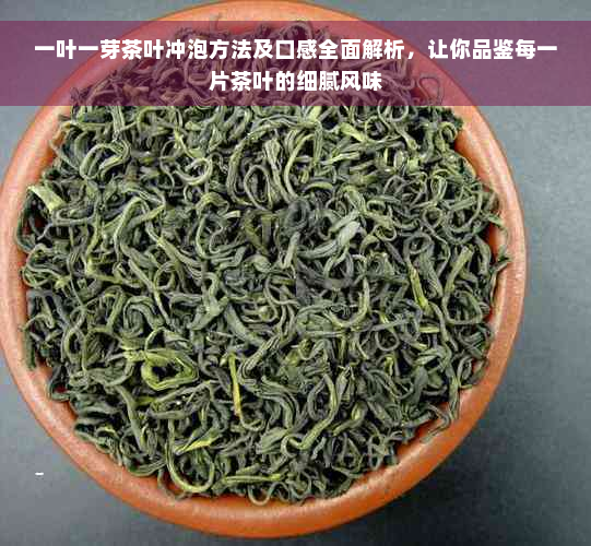 一叶一芽茶叶冲泡方法及口感全面解析，让你品鉴每一片茶叶的细腻风味