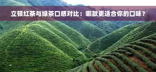 立顿红茶与绿茶口感对比：哪款更适合你的口味？