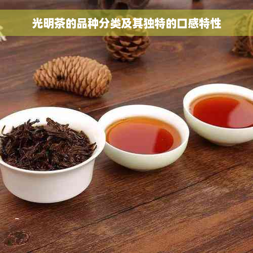 光明茶的品种分类及其独特的口感特性