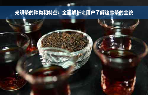 光明茶的种类和特点：全面解析让用户了解这款茶的全貌