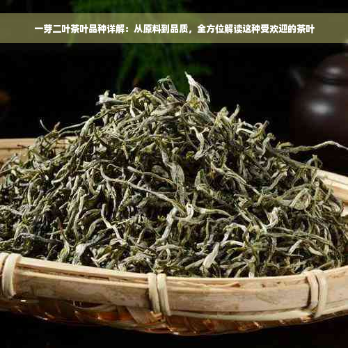 一芽二叶茶叶品种详解：从原料到品质，全方位解读这种受欢迎的茶叶